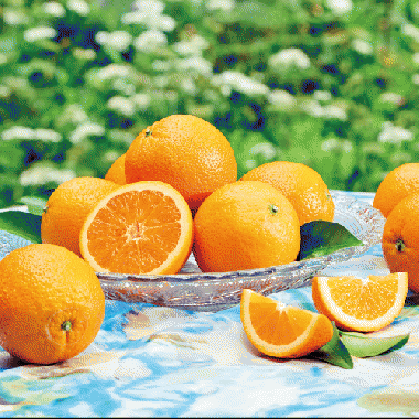 Orange[L72pcs]
