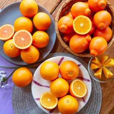 Spring Citrus Selection [30pcs]