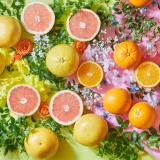 High Brix Navel Orange&Florida Grapefruit[24pcs]