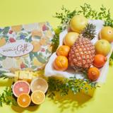 Spring Citrus Mix [Fruits Box][9pcs]