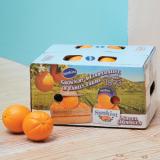 Sunkist® High Brix Navel Orange［L18pcs］