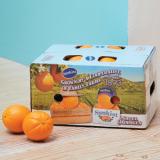 Sunkist Generation Box［L18pcs］