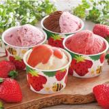 Variety of Strawberry ice cream