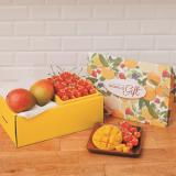 特選レイニアチェリー(大粒)[500g]&アップルマンゴー[2個]