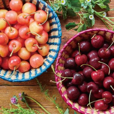 Rainier & Dark (Large) [Approx.2.2lbs]