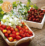 特選レイニア&特選ダークチェリー(大粒)[3.0kg]