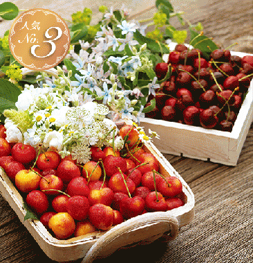 Rainier & Dark Cherry (Large) [Approx.2.2lbs]