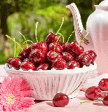 【GEE WHIZ】特選ダークチェリー(超大粒)[1.0kg]