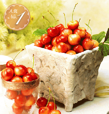 特選レイニアチェリー(大粒)[500g]