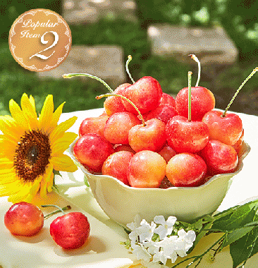 【GEE WHIZ】Rainier Cherry (XL) [Approx.4.4lbs]