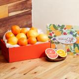 オレンジ&グレープフルーツ(ありがとう箱)[計10個]
