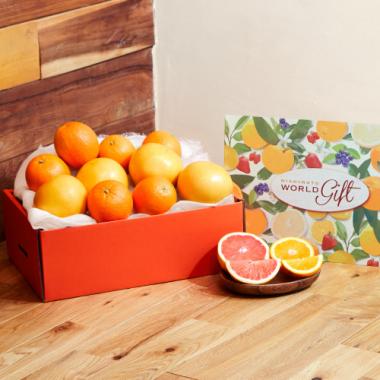 Orange & Grapefruit (Thank you Box) [10pcs]