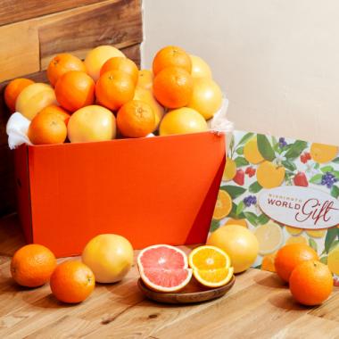 オレンジ&グレープフルーツ[計24個]