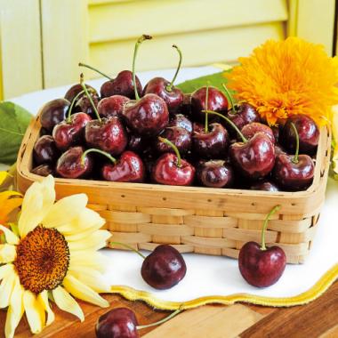 Dark Cherry (Large) [Approx. 4.4lbs]