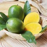 Green Mango from California [6pcs]