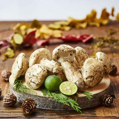 【Wooden Box】Matsutake [Approx.0.44lbs]