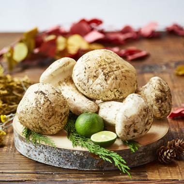 【Wooden Box】Superb Matsutake [Approx. 0.44lbs]