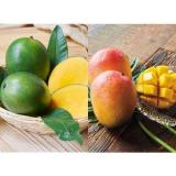 Green & Apple Mango [2pcs]