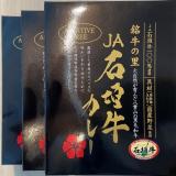 JA石垣牛100%カレー[3個]
