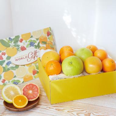 Melogold & Citrus (Birthday Box)[10pcs]
