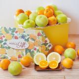 Melogold & Orange Deluxe (Fruits Box)[24pcs]