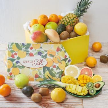 Melogold All Star (Fruits Box)[24pcs]