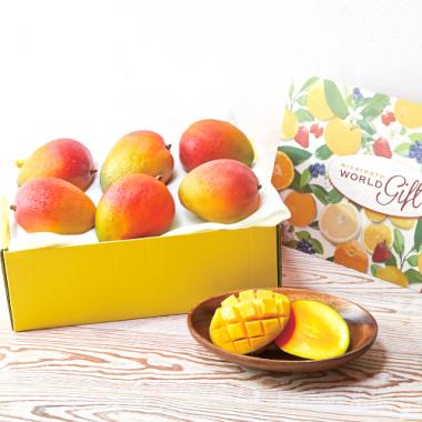 Apple Mango [6pcs]