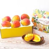 Apple Mango [6pcs]
