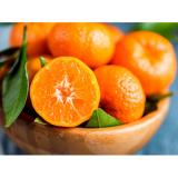 SATSUMA Mandarin Orange (Approx. 20)