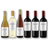 【WENTE】California Wine Comparison