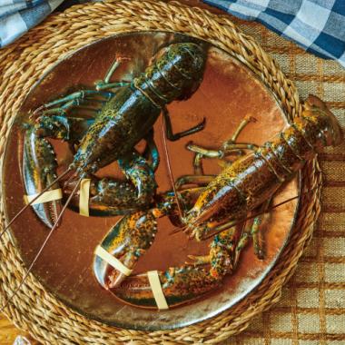Live Homard Lobster [2]