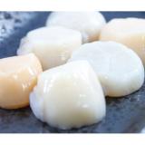 Hokkaido Scallop
