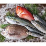 Fishermen's Selected Fresh Fish Box（Premium)