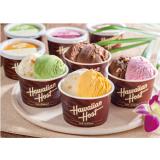 Hawaiian Host Macadamia Nuts Ice cream