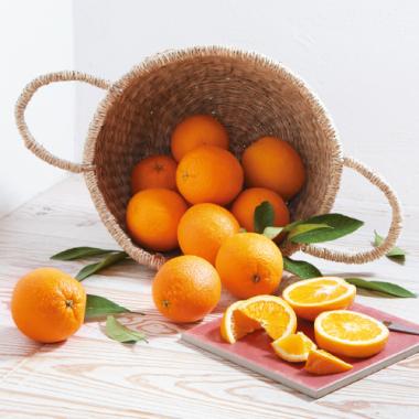Navel Orange [XL8pcs]