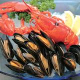 Homard Lobster & Mussels