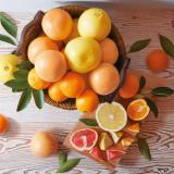 Navel Orange & Grapefruit [24pcs]