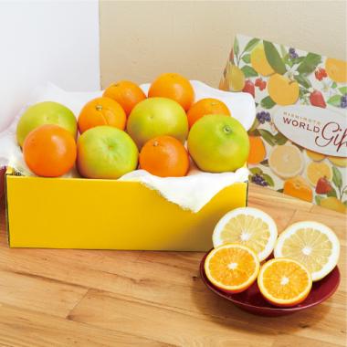 Melogold & Orange (Fruits Box)[10pcs]