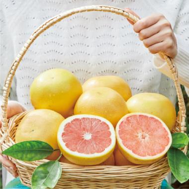 Grapefruit [Ruby/M20pcs]
