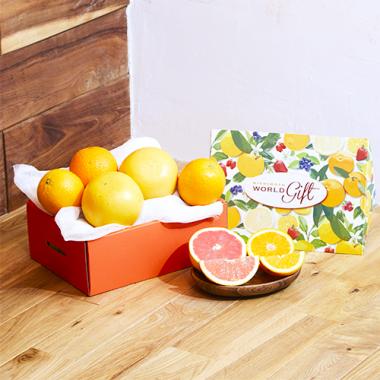 Citrus gift [5pcs]