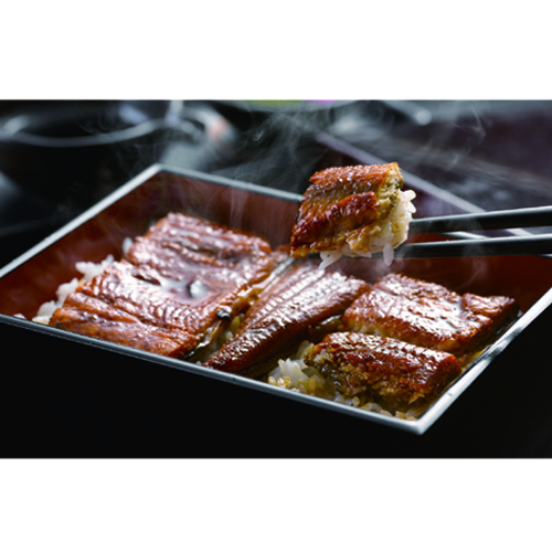 Grilled Eel(Cut)